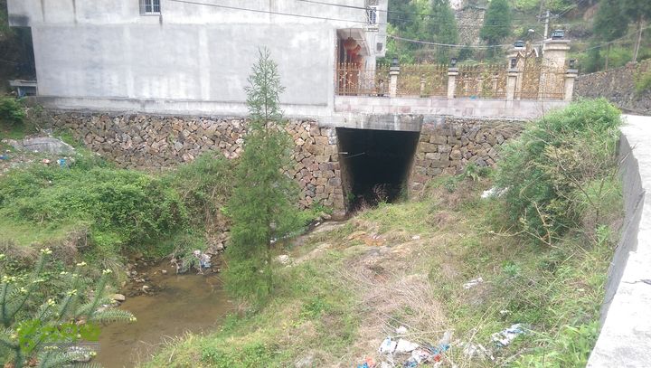 下石坑古道IMAG0676