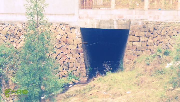 下石坑古道IMAG0677