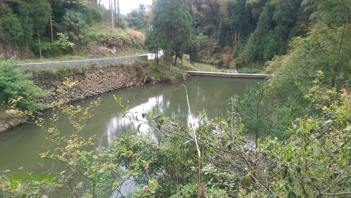 下石坑古道IMAG0681