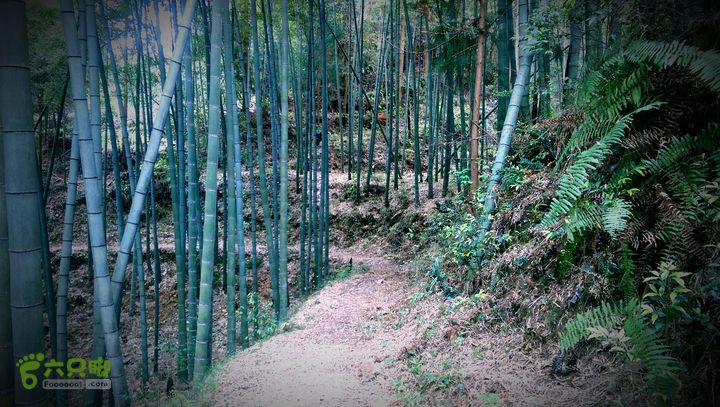 下石坑古道IMAG0684