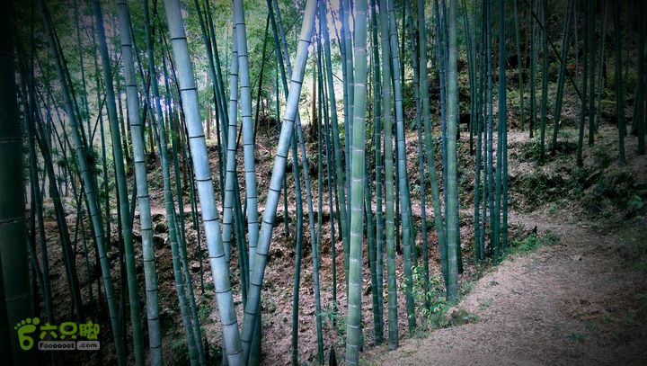 下石坑古道IMAG0685