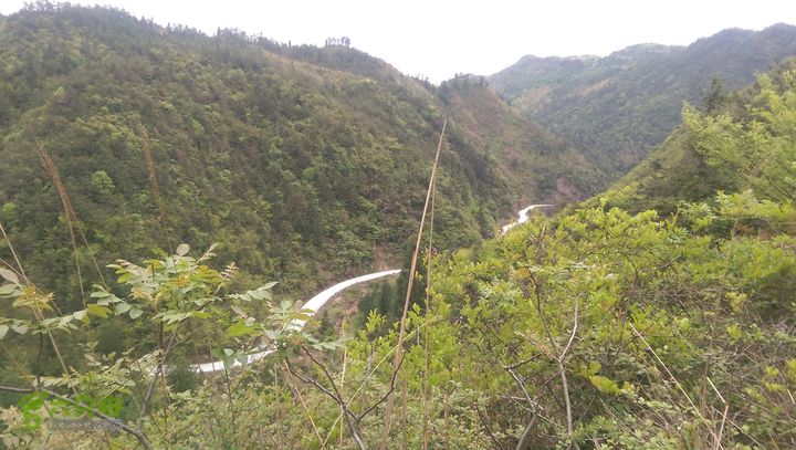 下石坑古道IMAG0686