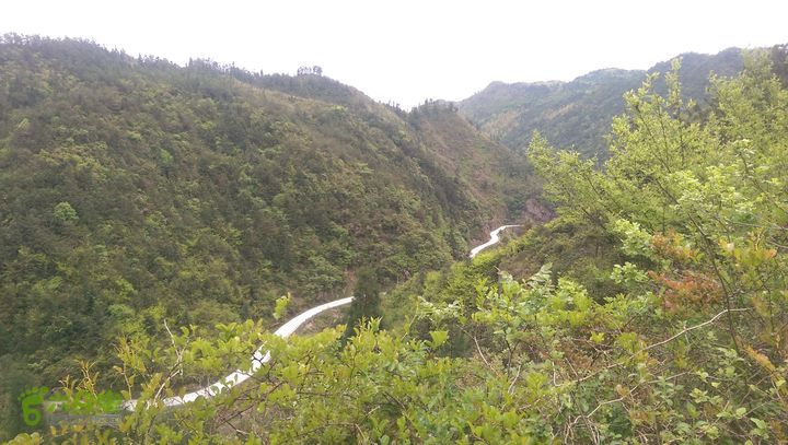 下石坑古道IMAG0687