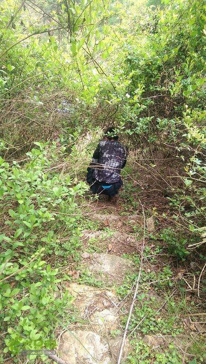 下石坑古道IMAG0688