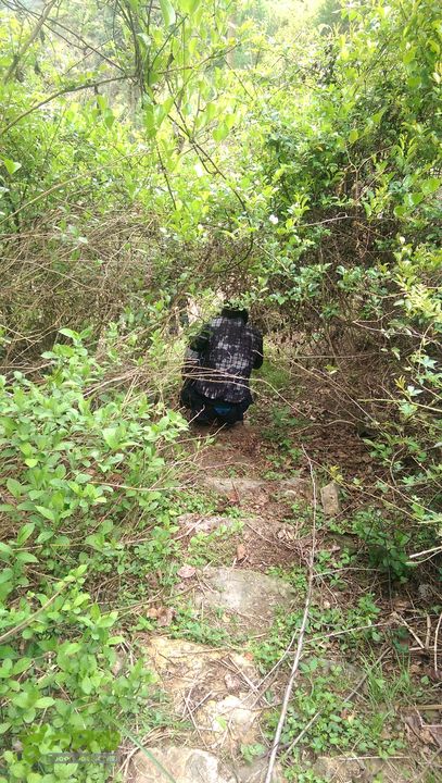 下石坑古道IMAG0689