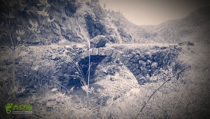 下石坑古道IMAG0694