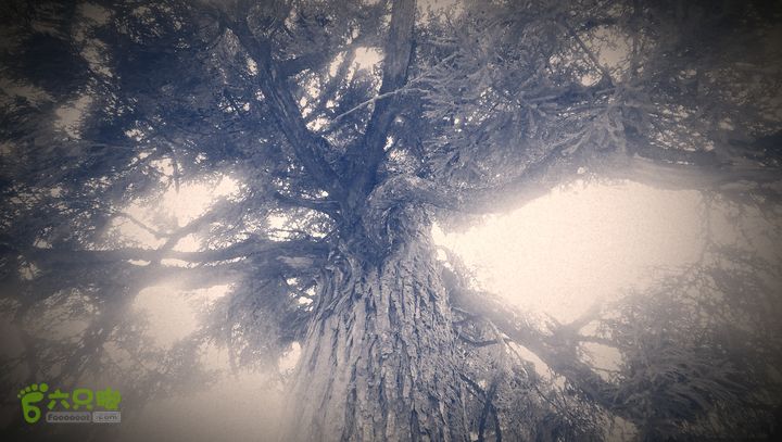 下石坑古道IMAG0617