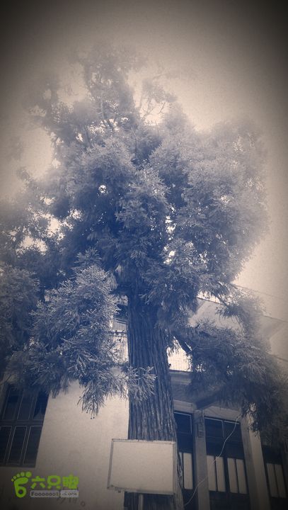 下石坑古道IMAG0618