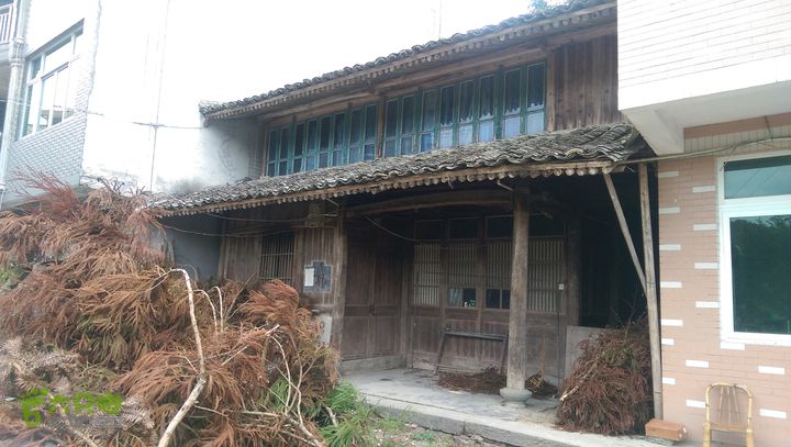 下石坑古道IMAG0620