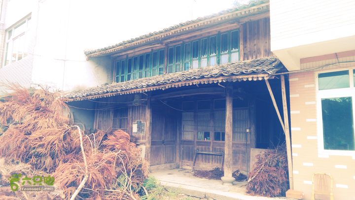 下石坑古道IMAG0622