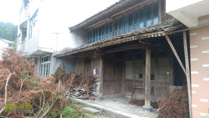 下石坑古道IMAG0625