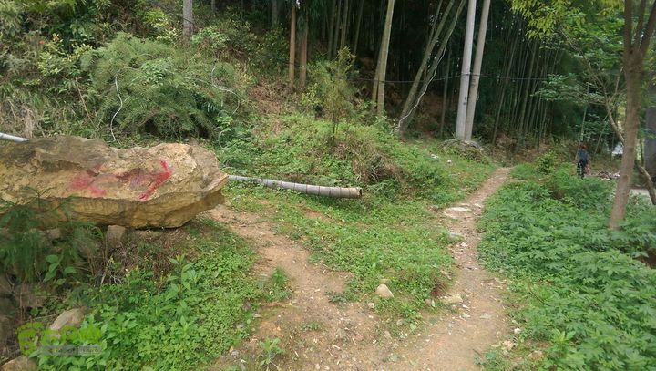 下石坑古道IMAG0630