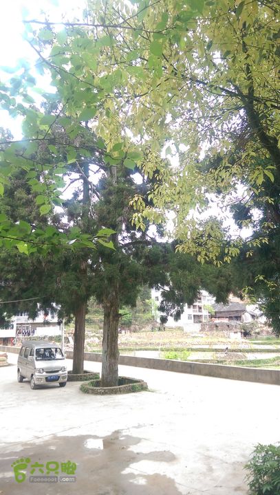 下石坑古道IMAG0631