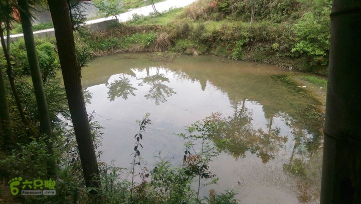 下石坑古道IMAG0632