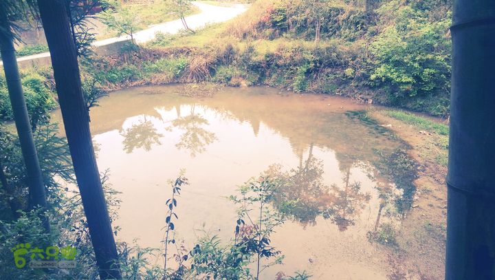 下石坑古道IMAG0633