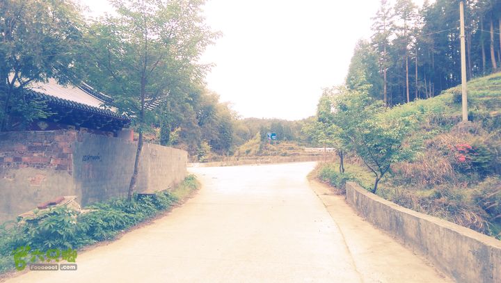 下石坑古道IMAG0635