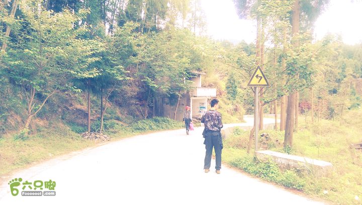 下石坑古道IMAG0636