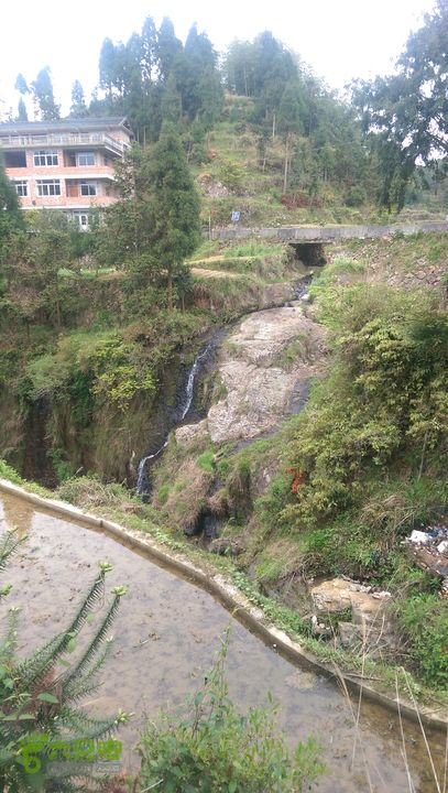 下石坑古道IMAG0637