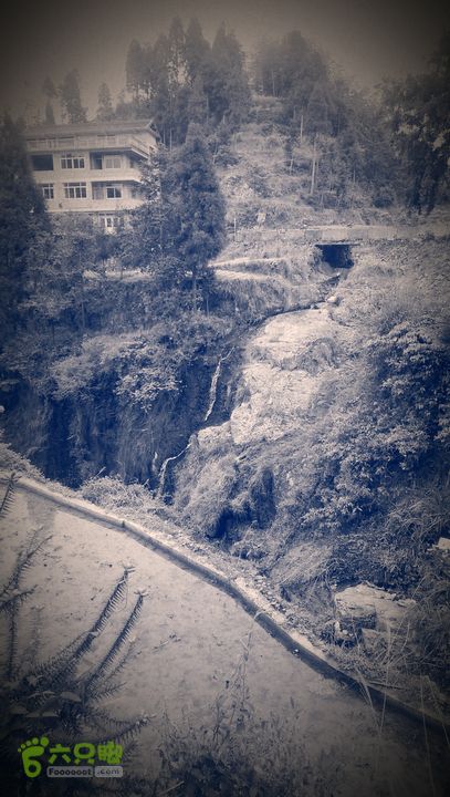 下石坑古道IMAG0638