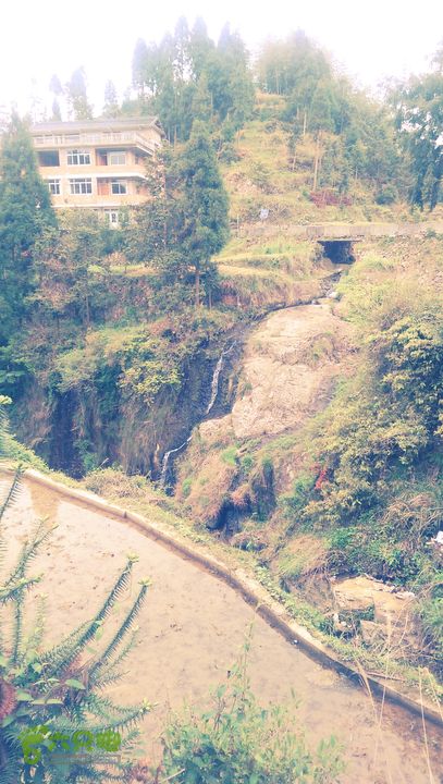 下石坑古道IMAG0639