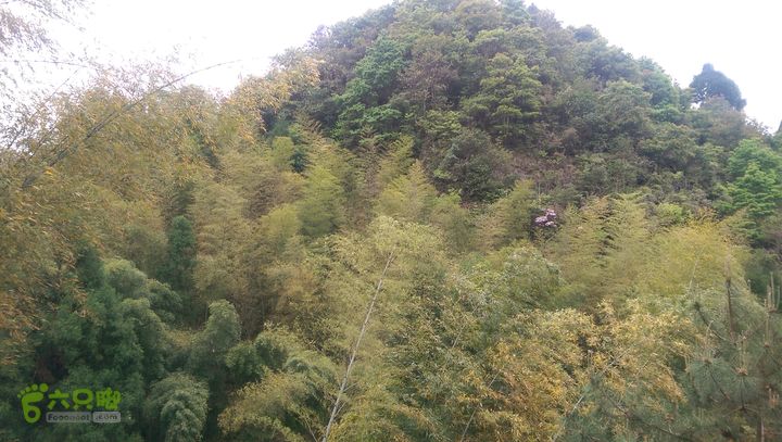 下石坑古道IMAG0640