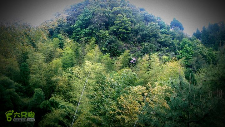 下石坑古道IMAG0642