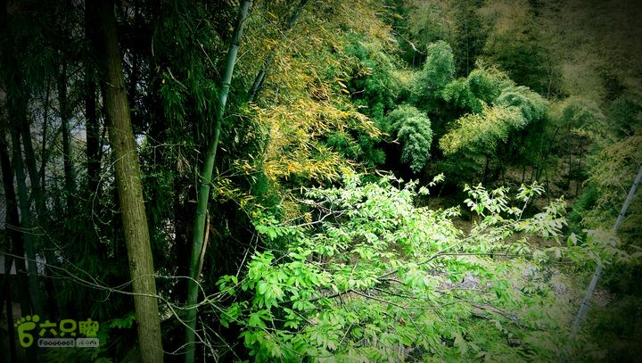 下石坑古道IMAG0643