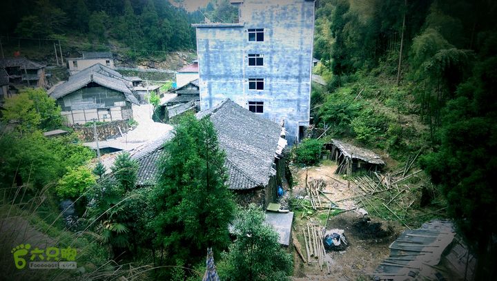 下石坑古道IMAG0644