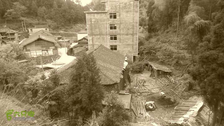 下石坑古道IMAG0645