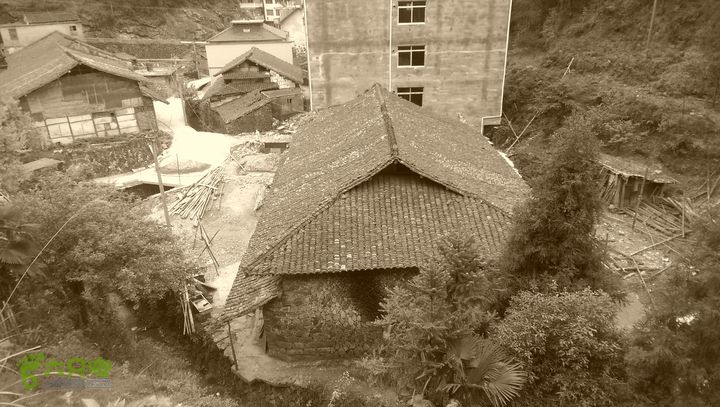 下石坑古道IMAG0648