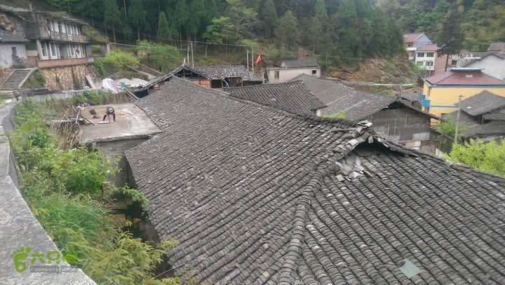 下石坑古道IMAG0649