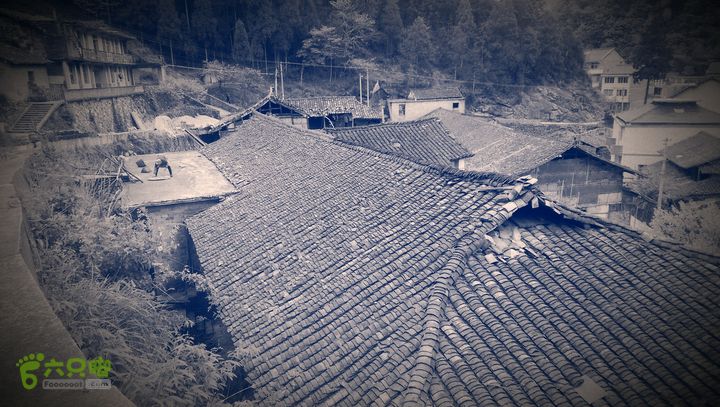 下石坑古道IMAG0650