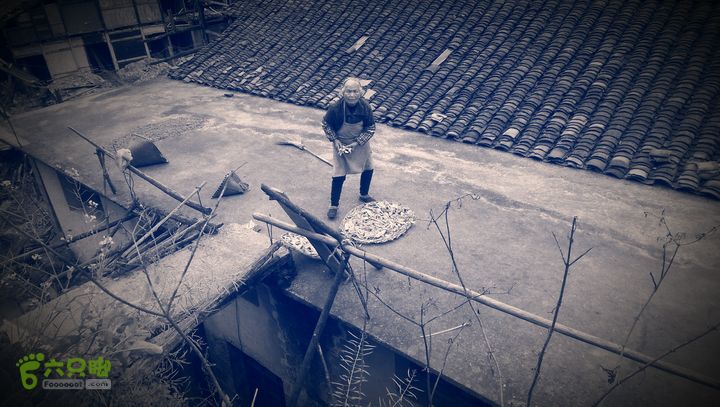 下石坑古道IMAG0652