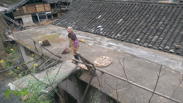 下石坑古道IMAG0653