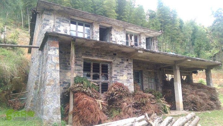 下石坑古道IMAG0578