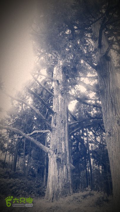 下石坑古道IMAG0582