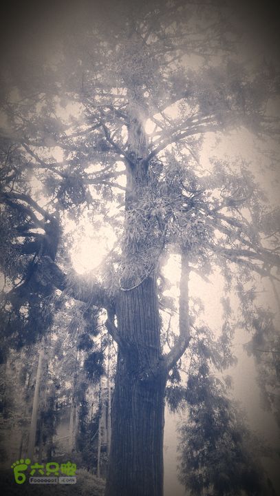 下石坑古道IMAG0583