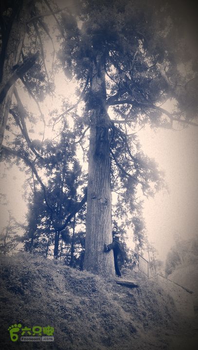 下石坑古道IMAG0585