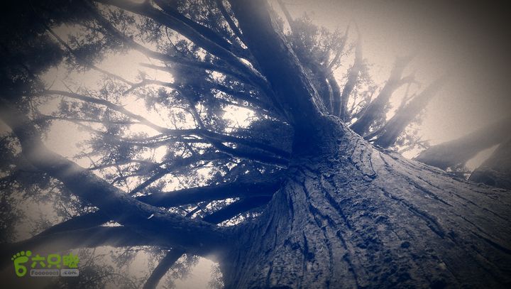 下石坑古道IMAG0588