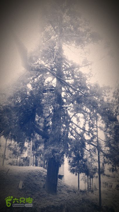 下石坑古道IMAG0589