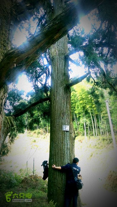 下石坑古道IMAG0591