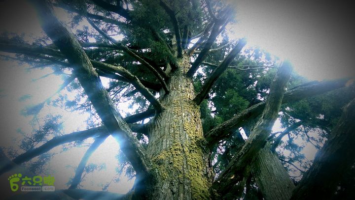 下石坑古道IMAG0593