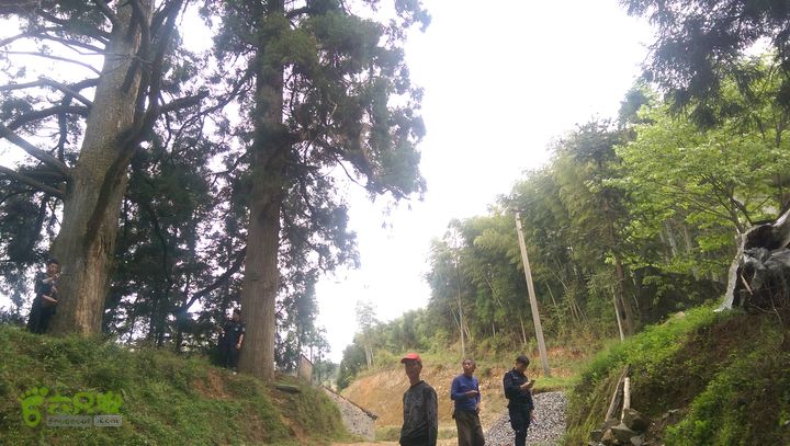 下石坑古道IMAG0594