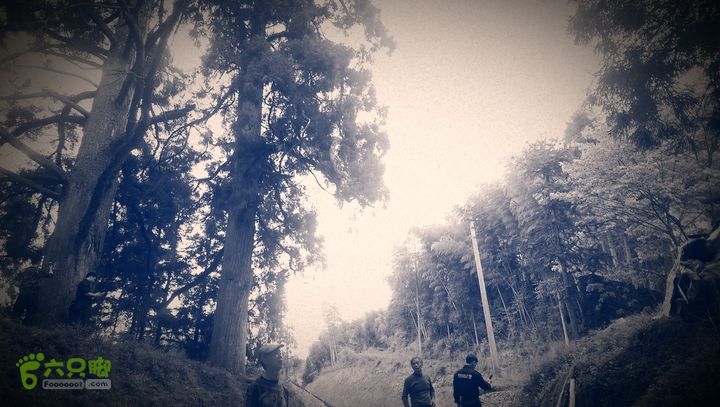 下石坑古道IMAG0595