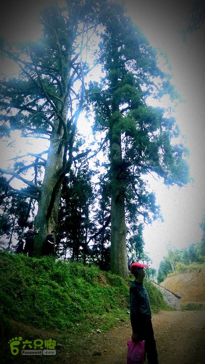 下石坑古道IMAG0597