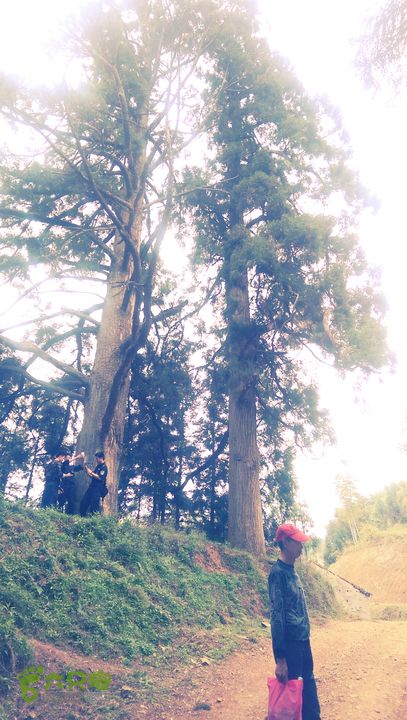 下石坑古道IMAG0598