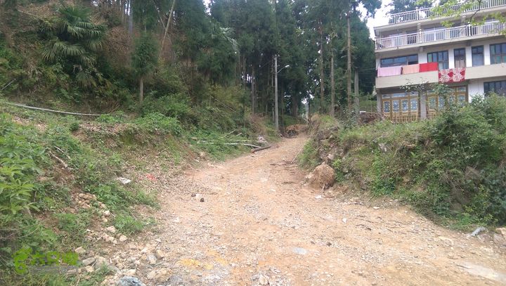 下石坑古道IMAG0600