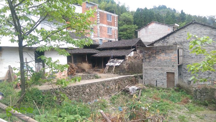 下石坑古道IMAG0602