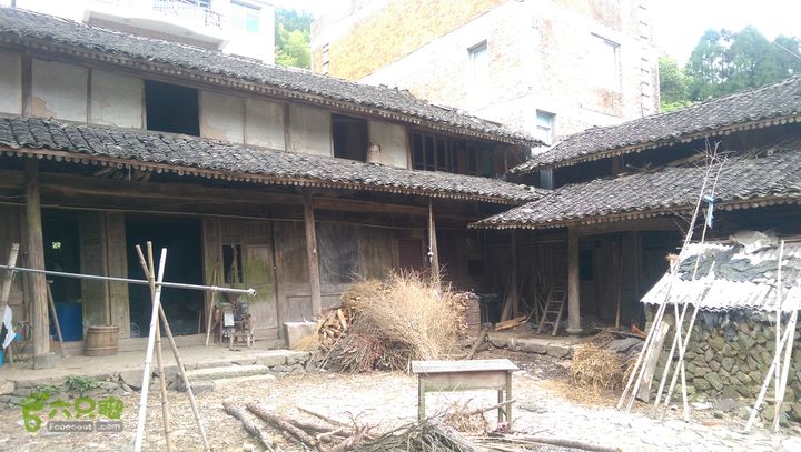 下石坑古道IMAG0603