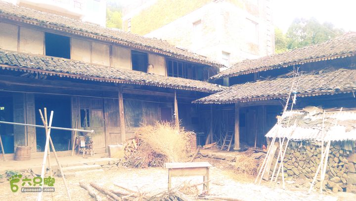 下石坑古道IMAG0604